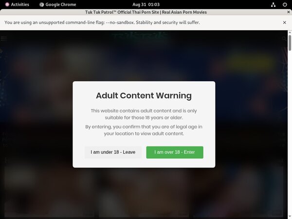 What Is Tuktukpatrol