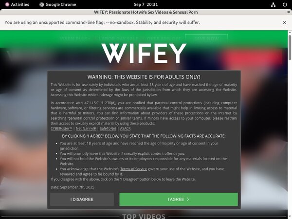 Wifey Web