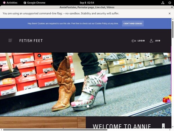 Working Anniefooties.modelcentro.com Account