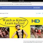 Americankitten.com Betalen