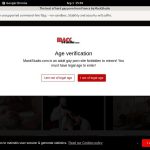 Site Rip Studio Mack