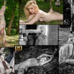 Subspace Land Members Password